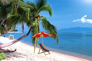 牌九官方平台 - 联系与支持